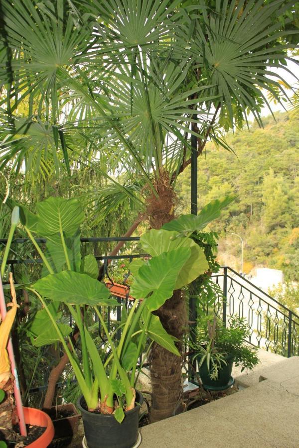 Apartments With Wifi Rabac, Labin - 7472 외부 사진